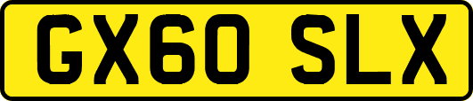 GX60SLX