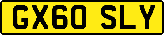 GX60SLY