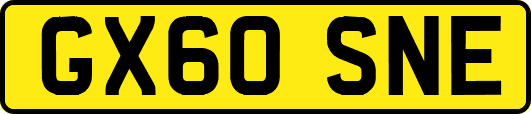 GX60SNE