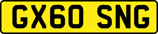 GX60SNG