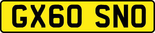 GX60SNO
