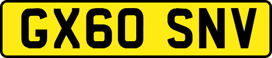 GX60SNV