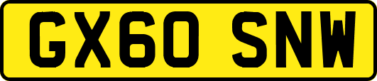 GX60SNW