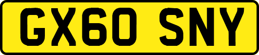 GX60SNY