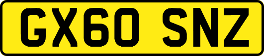 GX60SNZ