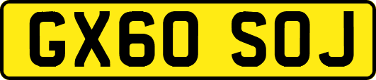 GX60SOJ