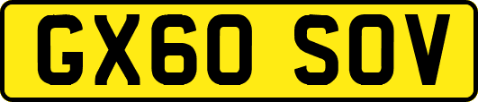GX60SOV