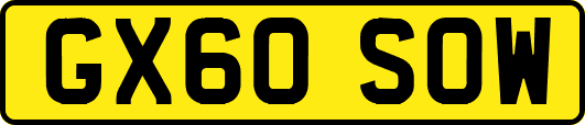 GX60SOW