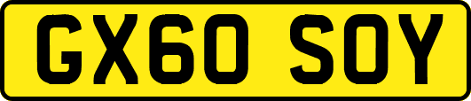 GX60SOY