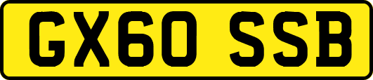 GX60SSB