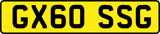 GX60SSG