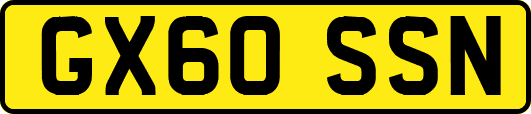 GX60SSN