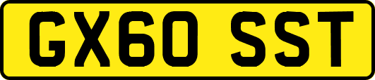 GX60SST