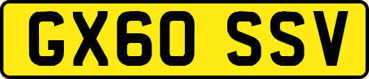 GX60SSV