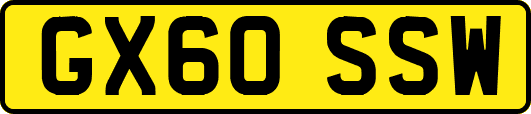 GX60SSW