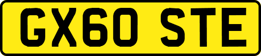 GX60STE