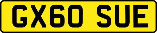 GX60SUE
