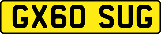 GX60SUG