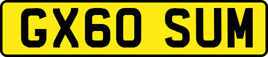 GX60SUM