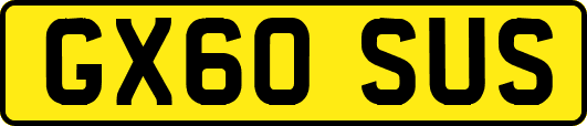 GX60SUS