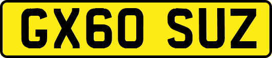 GX60SUZ