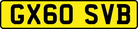 GX60SVB
