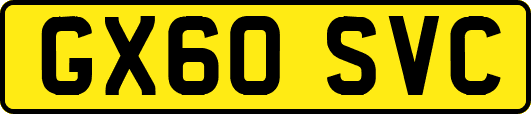 GX60SVC