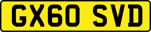 GX60SVD