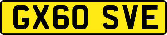 GX60SVE