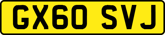 GX60SVJ