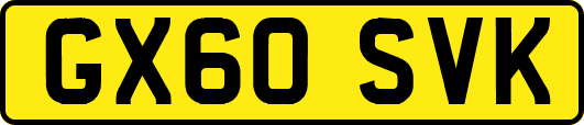 GX60SVK