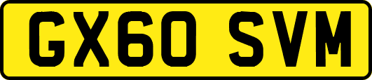 GX60SVM