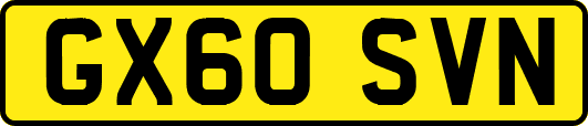 GX60SVN