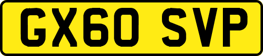 GX60SVP