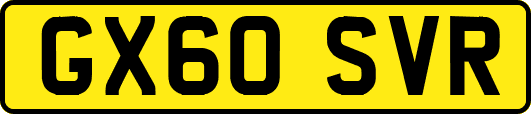 GX60SVR