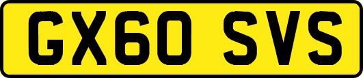GX60SVS