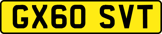 GX60SVT