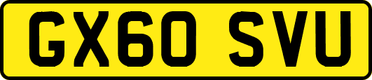 GX60SVU