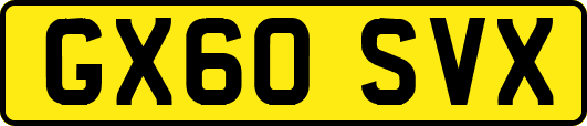 GX60SVX