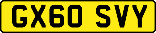 GX60SVY
