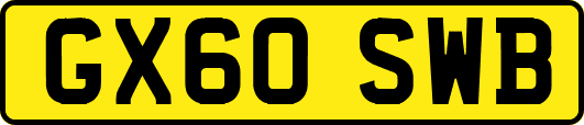 GX60SWB