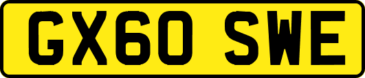 GX60SWE