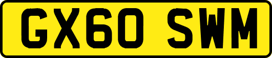 GX60SWM