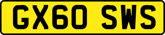 GX60SWS