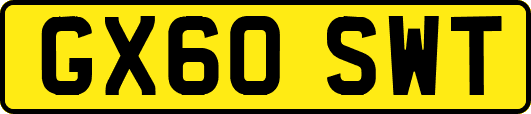 GX60SWT