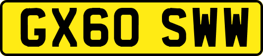 GX60SWW