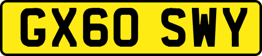 GX60SWY