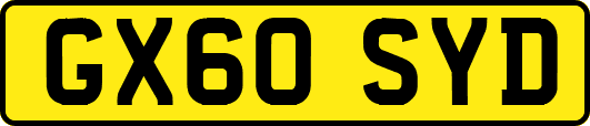 GX60SYD