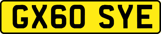 GX60SYE