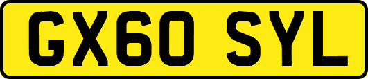GX60SYL